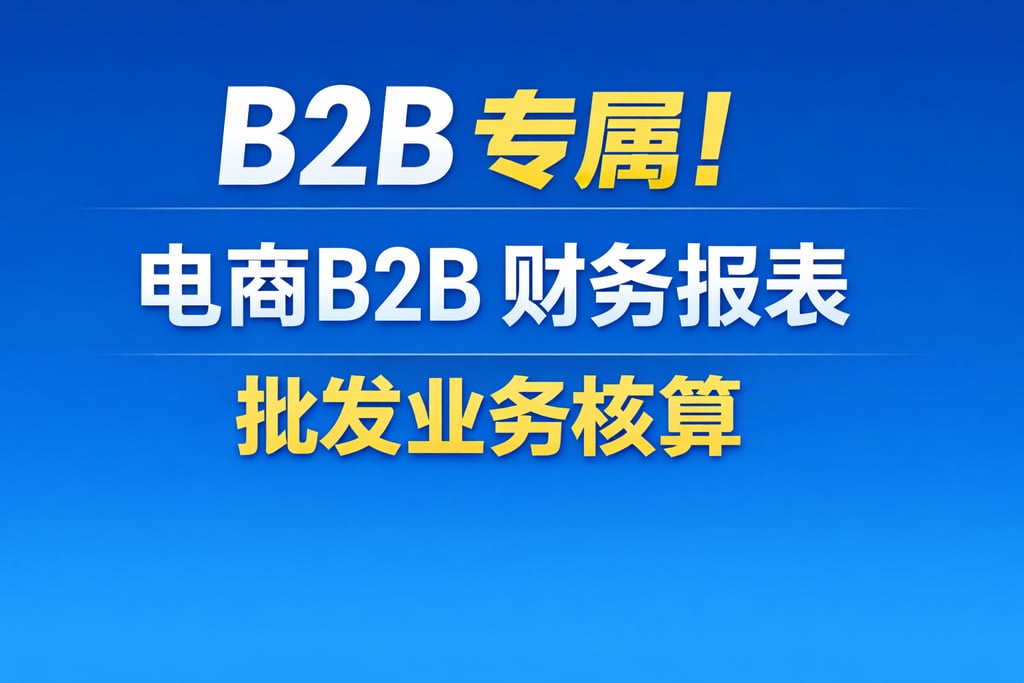 B2B 专属！电商 b2b 财务报表，批发业务核算